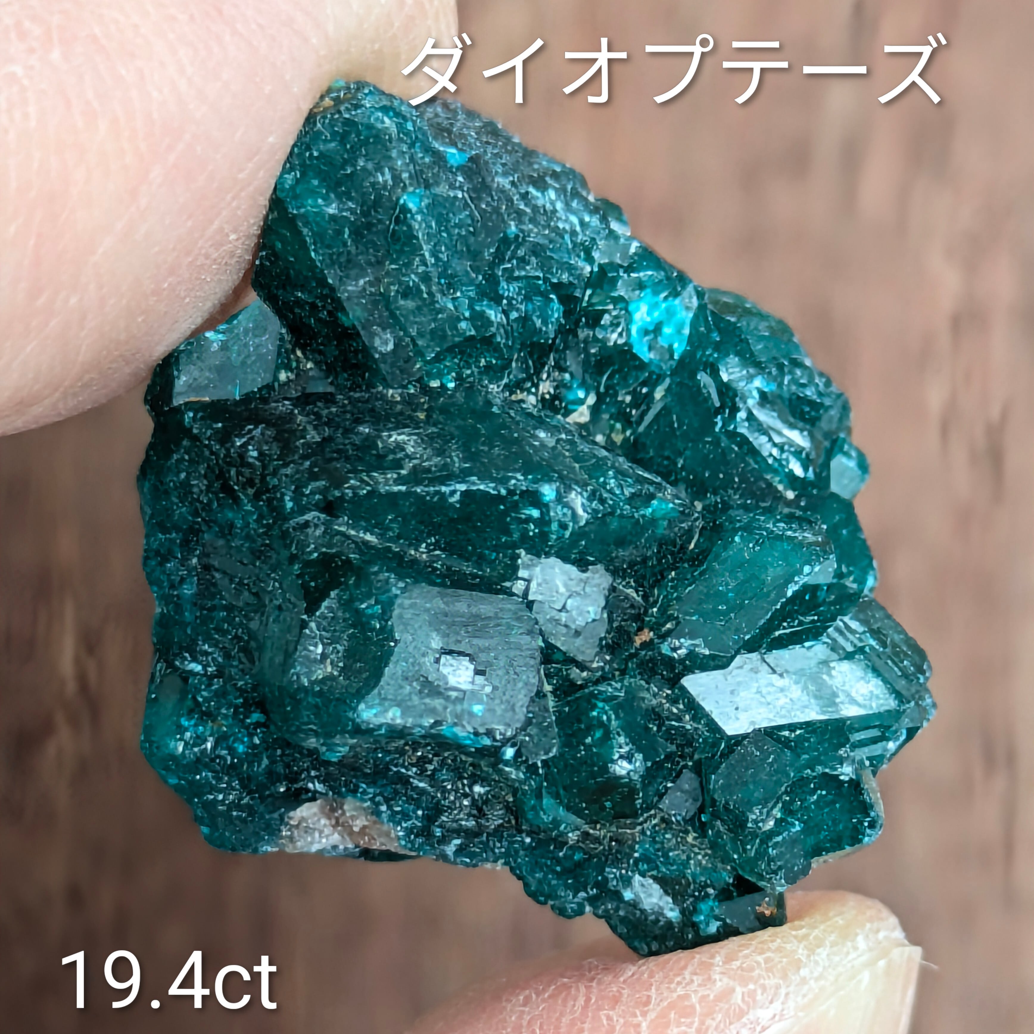 ダイオプテーズ原石 【19.4ct】 PRO209143 | Gem's Subculture