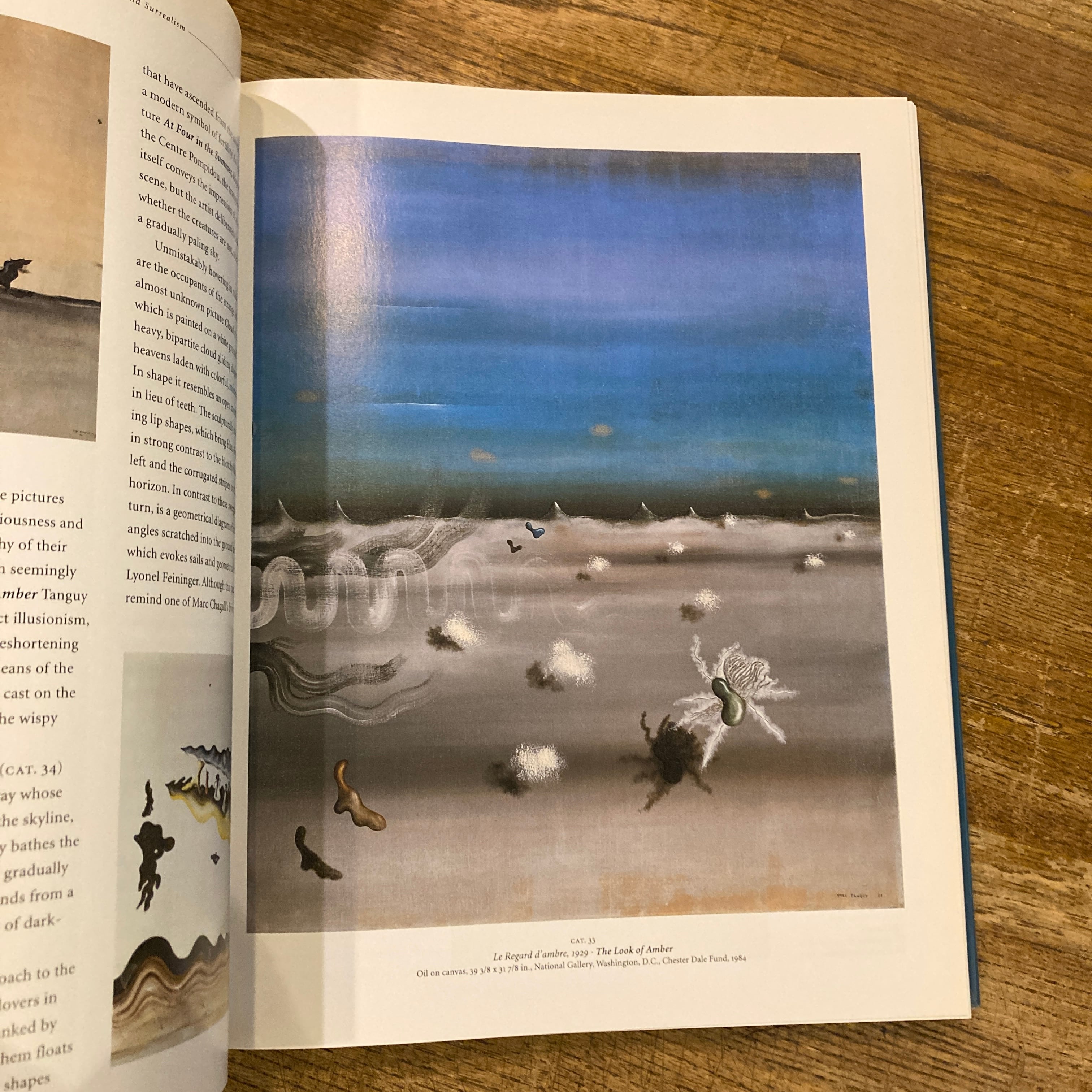 Yves Tanguy and Surrealism / イヴ・タンギー 編｜Karin Von Maur | 百年