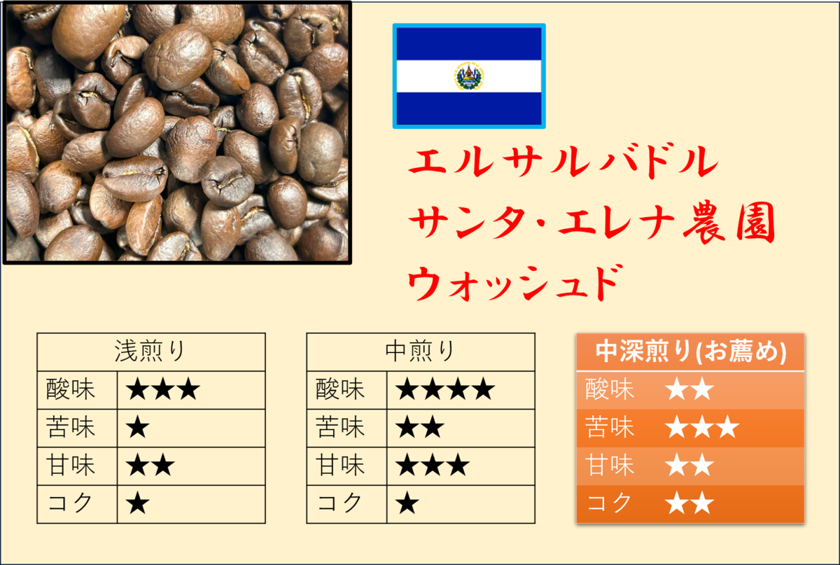 専用　エルパソサドル 専用 エルパソサドル 専用 エルパソサドル 【公式通販】