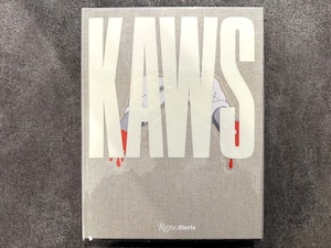 【VA674】KAWS /visual book
