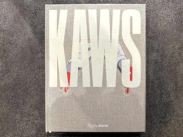 【VA674】KAWS /visual book