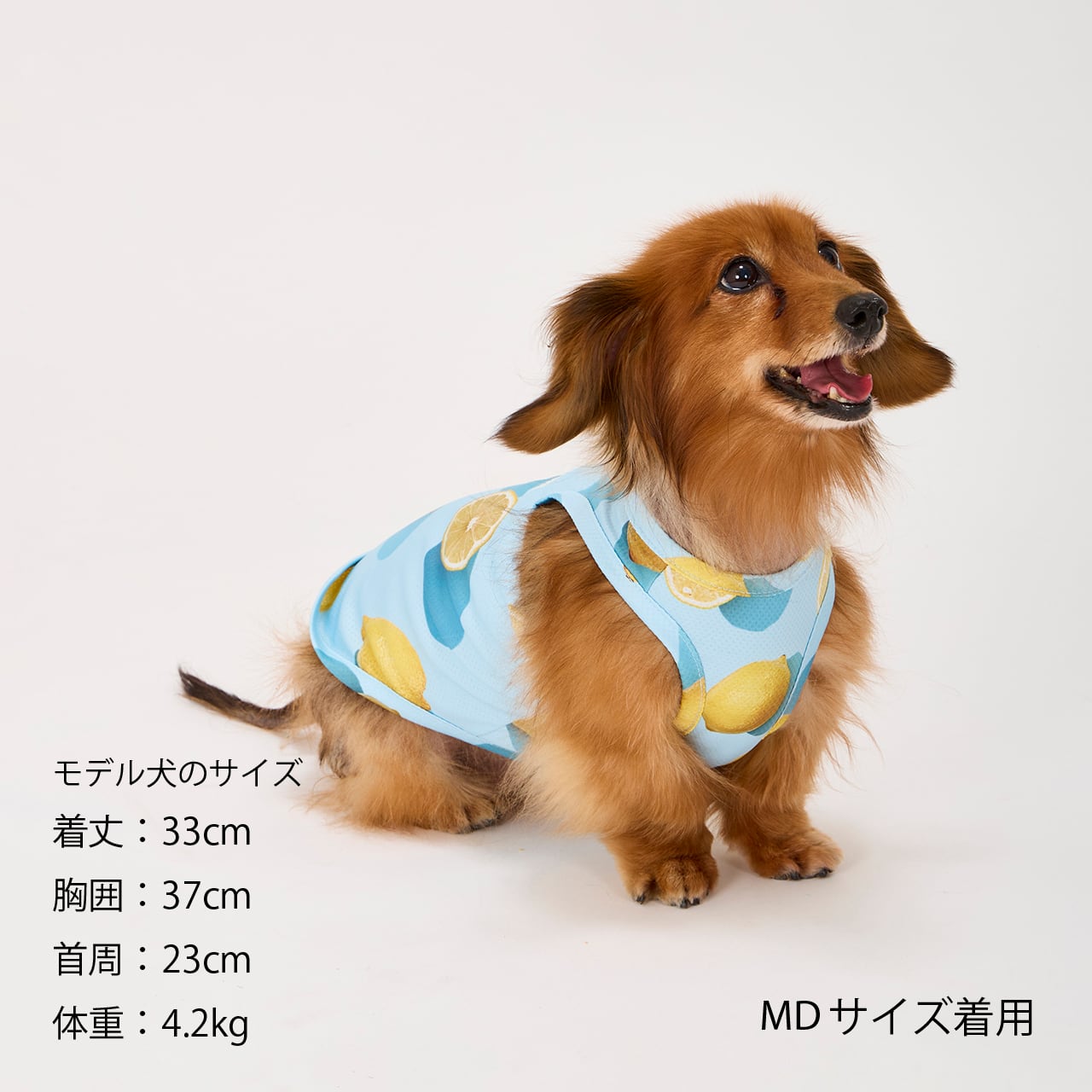 CCL COOLING TANK（3L.4L.5L） CCLクーリングタンク マンダリン