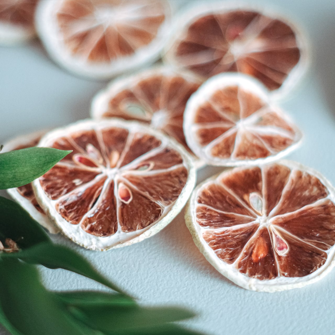 ￼レモン、ユーカリ、ドライ ドライレモン（2枚） | E CA QUI