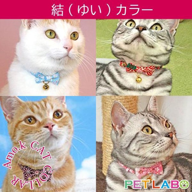 【メール便送料200円】Amo.k(アモワークス)猫用首輪・結(ゆい)カラー　首輪 胴輪 ハーネス お散歩 お出かけ お洒落 おしゃれ かわいい