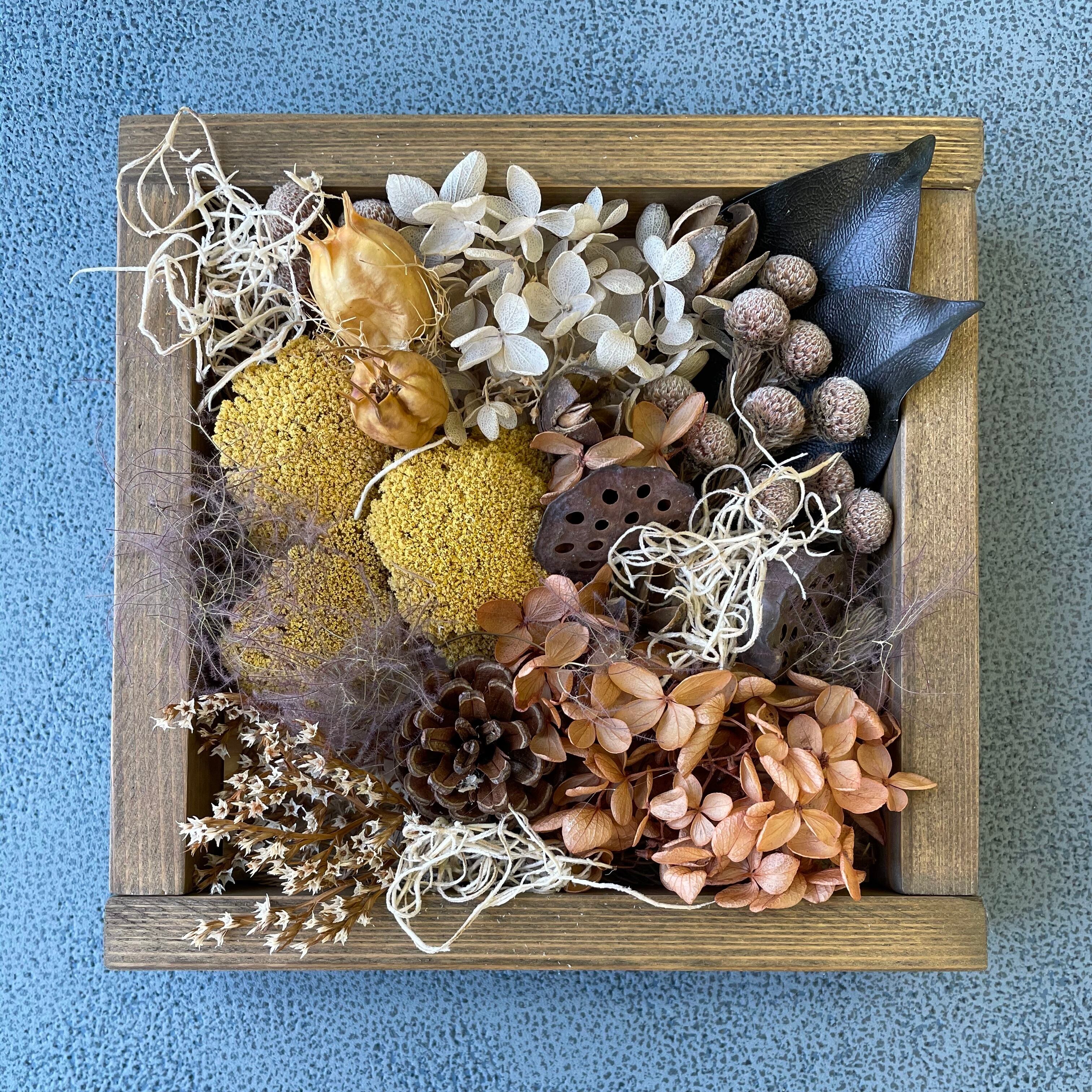 ❁Botanical collection❁ドライフラワーの詰め合わせbox【30719