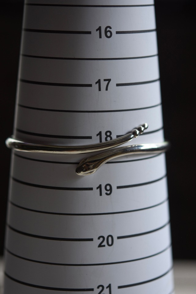 IORI／"Tiffany& Co."bangle／snake peretti