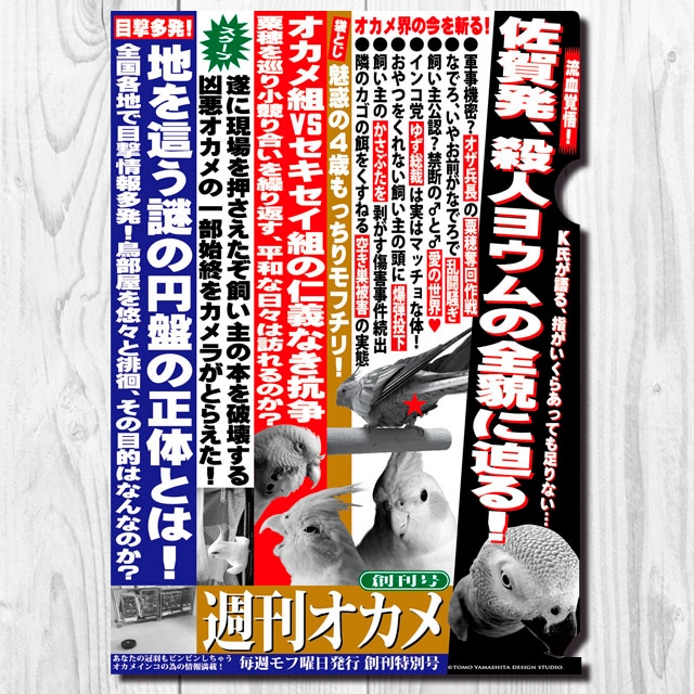 A4クリアファイル　週刊オカメ  「創刊号」