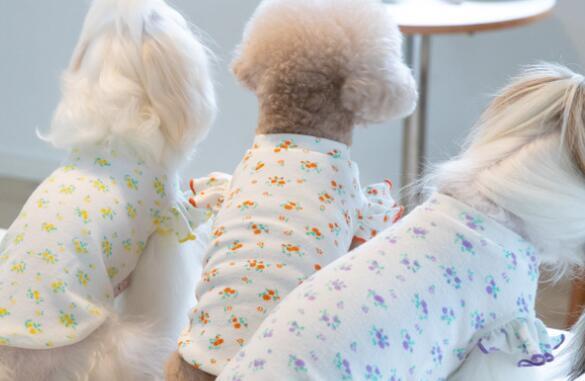 《予約》№1101826 淡色フラワーストレッチトップス