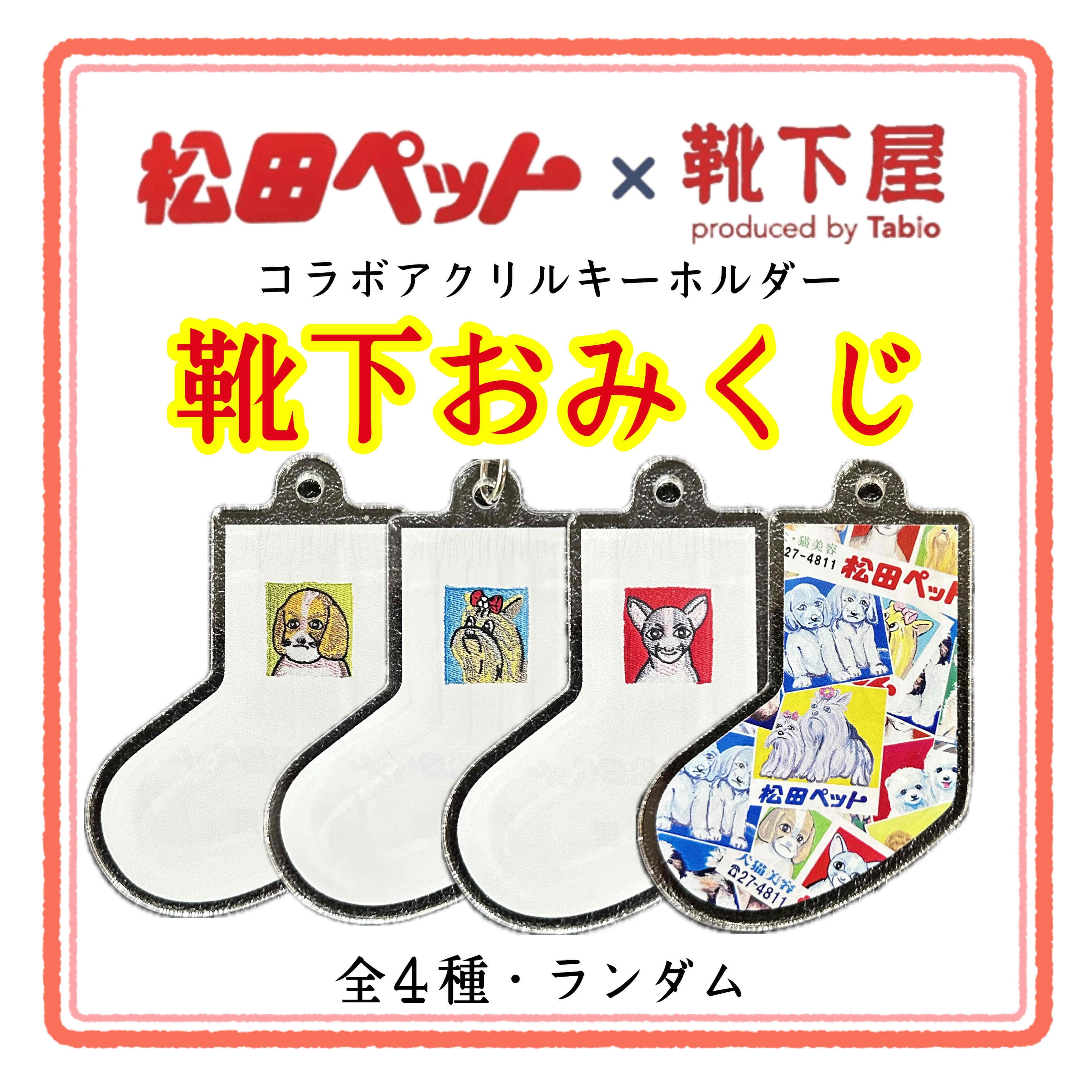 靴下屋×松田ペット】靴下キーホルダーおみくじ | 松田ペット