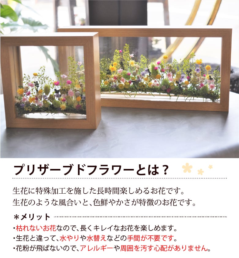 プリザーブドフラワー 花心M | ブルーメンケイ