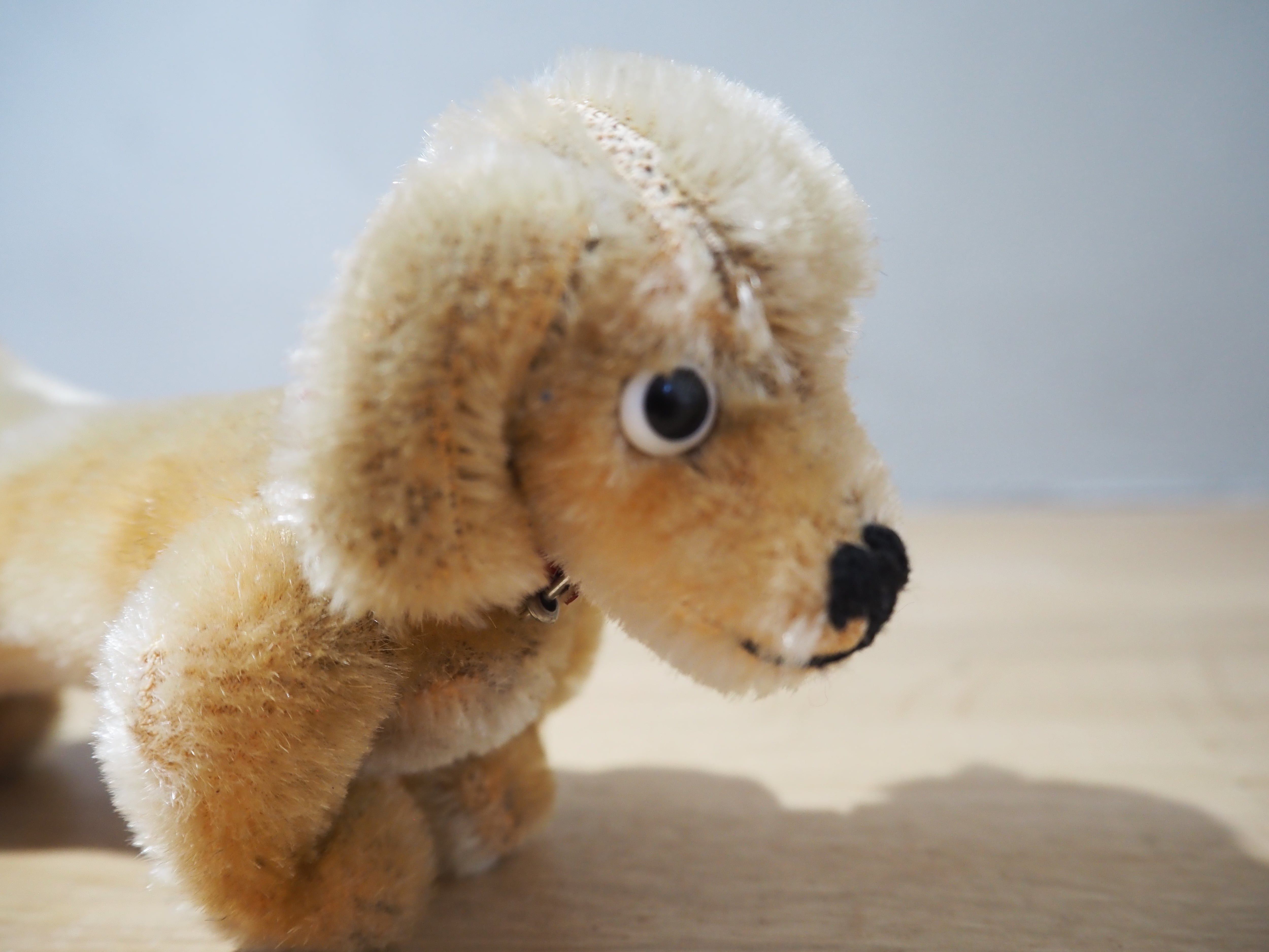 オールド シュタイフ ダックスフンド Steiff Hexie 9cm | ヒガシマチ