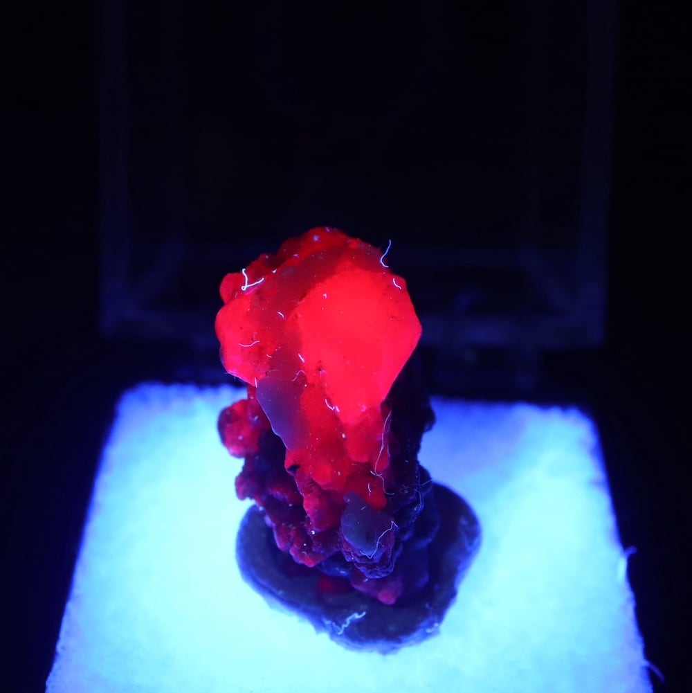 ルビー 原石 パキスタン産 結晶 6g RBY034 鉱物 天然石 | 鉱物 天然石