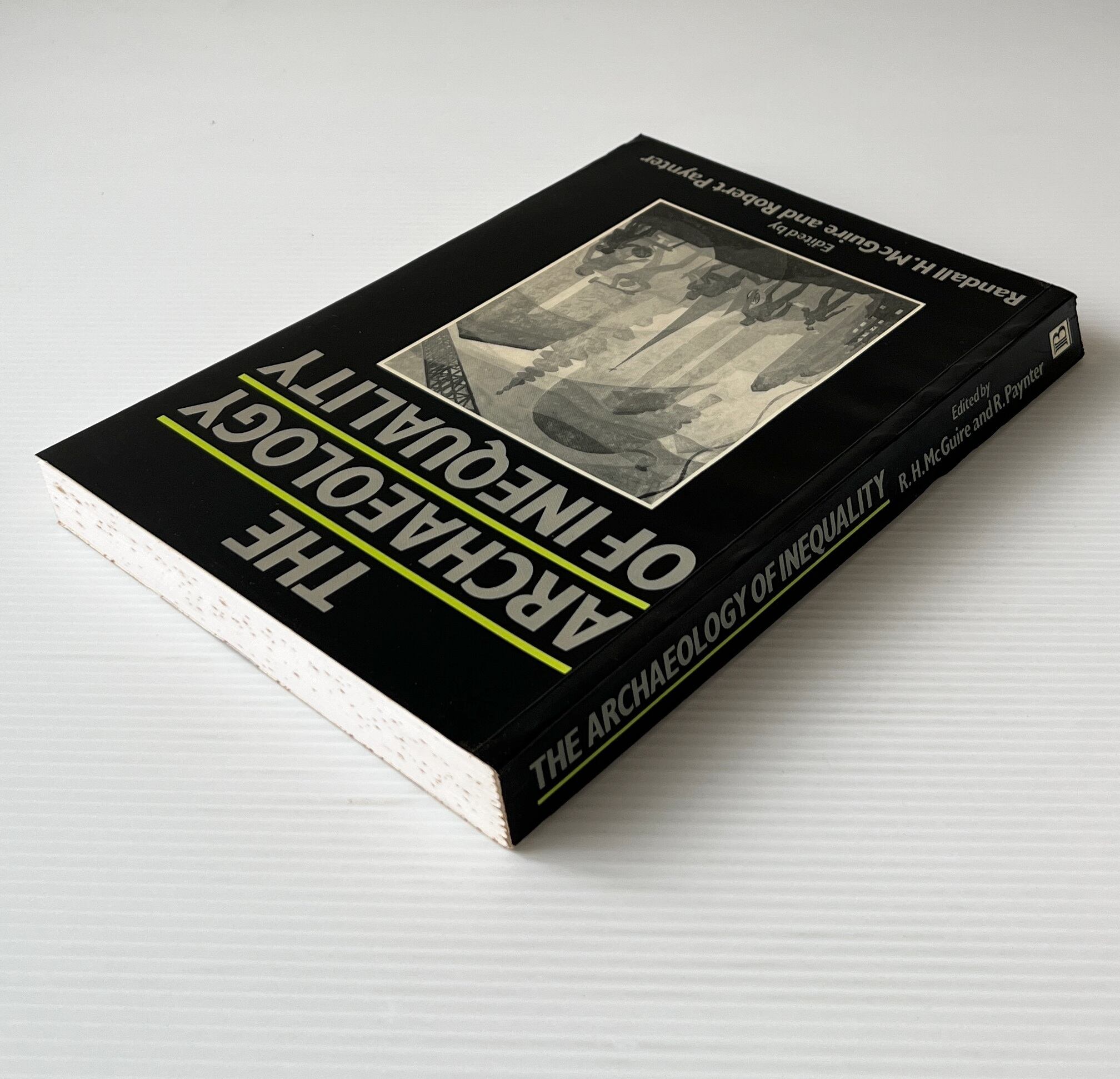 The Archaeology of Inequality / Randall H. McGuire and Robert Paynter / Blackwell