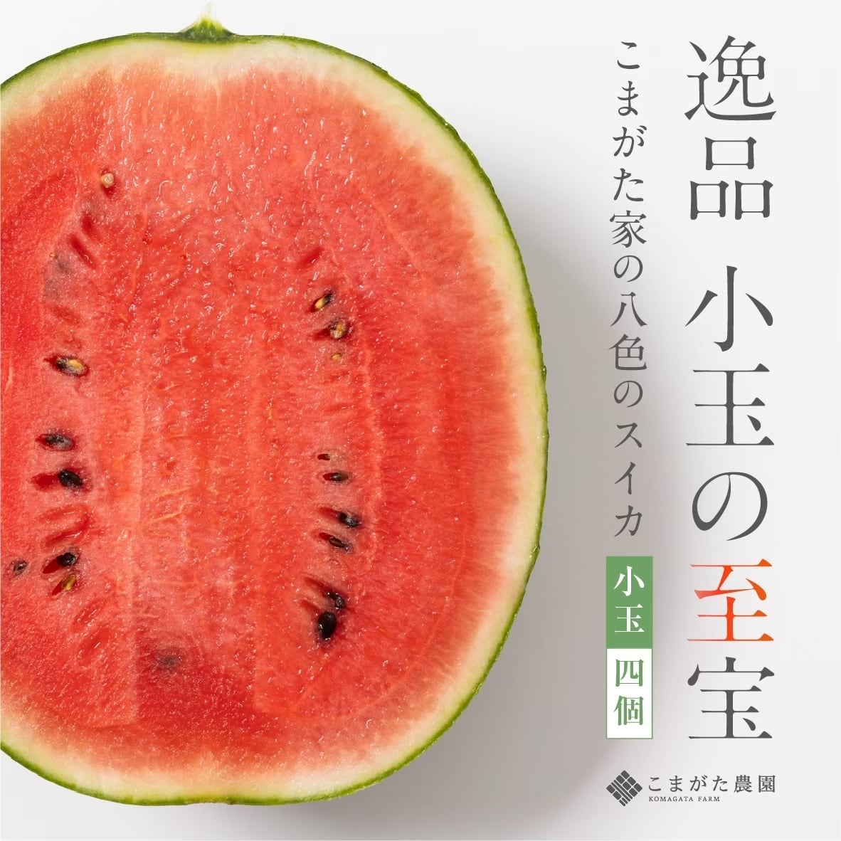 【7月上旬より発送開始予定】「こまがた家の八色のスイカ」極上小玉スイカ 4玉(1玉あたり約1.6〜2.5kg)