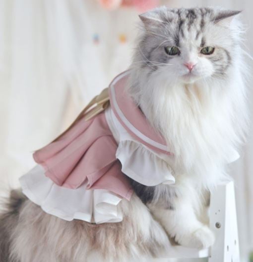 ペット用コスチューム 猫用 ネコちゃん かわいい 甘ロリ ワンピース 