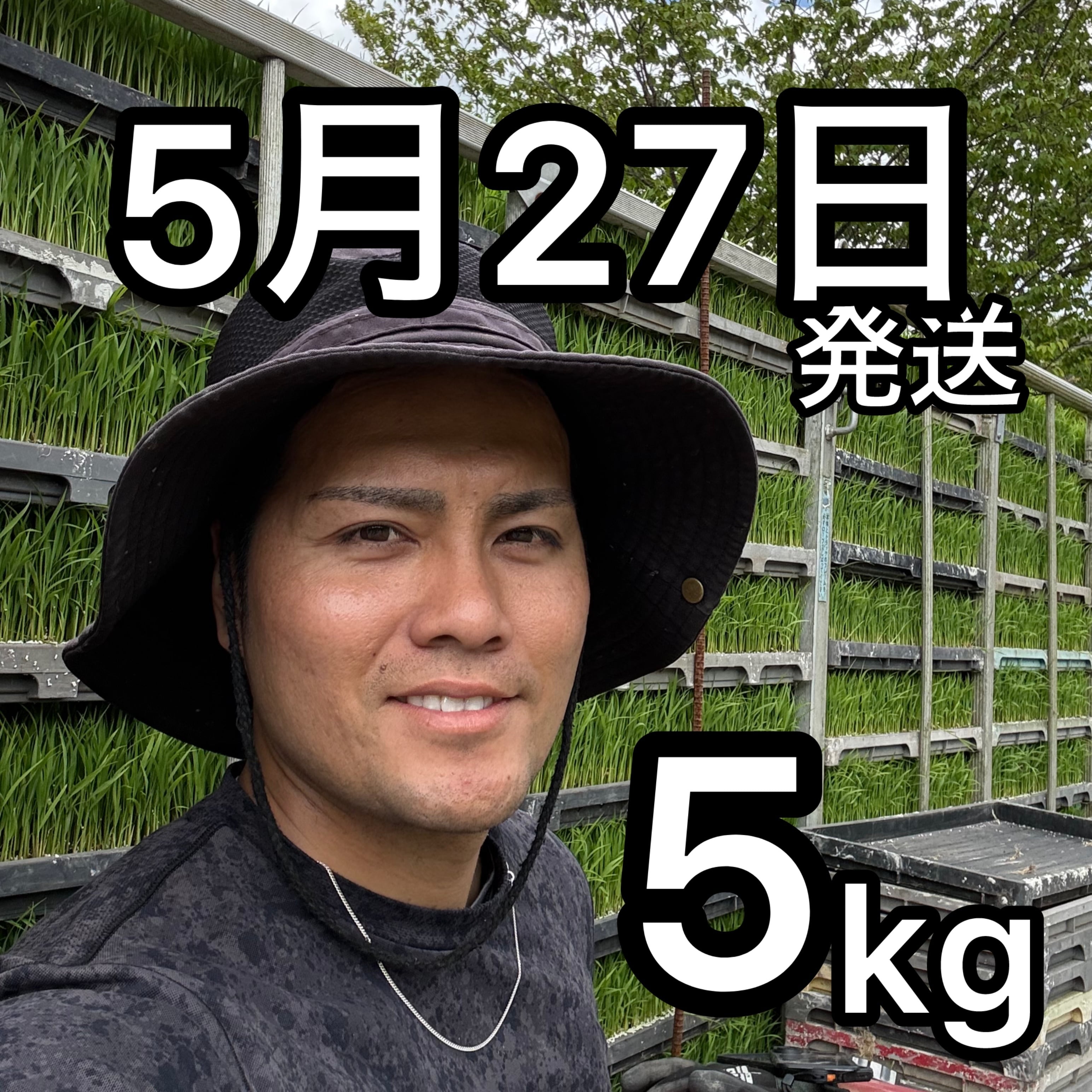 食品大量追加！！【本日発送】農家直送米3.5kg＋BASE YAKIROBA等 楽天市場】農家直送の通販