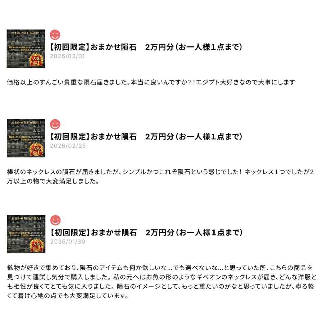 初回限定】おまかせ隕石 2万円分（お一人様1点まで） | 【隕石屋