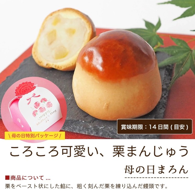 母の日ギフト 2026 『母の日詰め合わせ 1』 7種 #和菓子#お取り寄せ#土産#プレゼント#進物