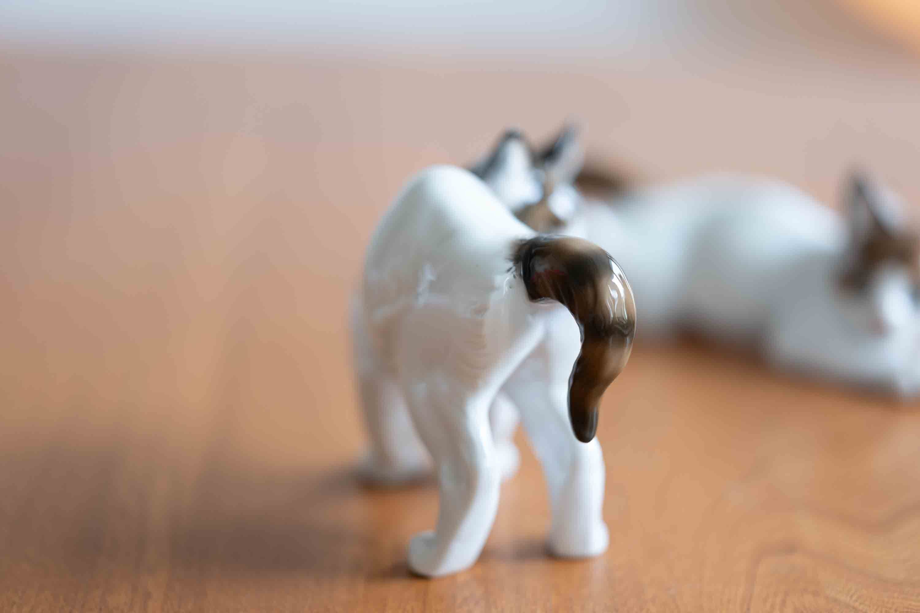 Rosenthal ローゼンタール　陶器置物　カモメ Rosenthal ローゼンタール 陶器置物 カモメ - メルカリ