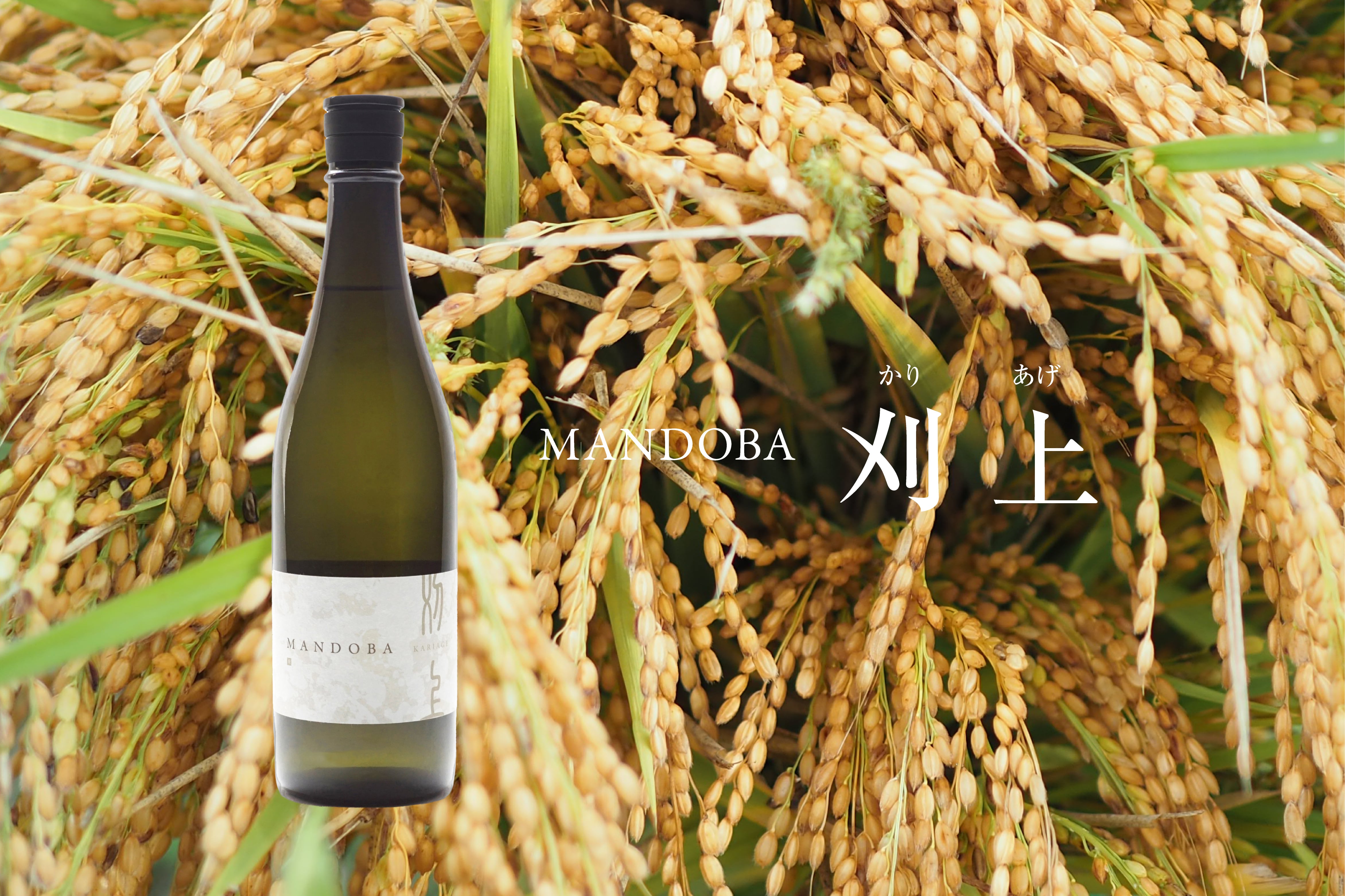 刈上 KARIAGE -MANDOBA-