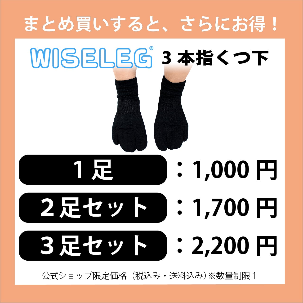 送料込み【管理医療機器】マグネットフットケアーWISELEG(ワイズレック