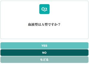 Yes/No Chart BLUE GREEN スタイル