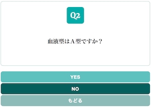 Yes/No Chart BLUE GREEN スタイル