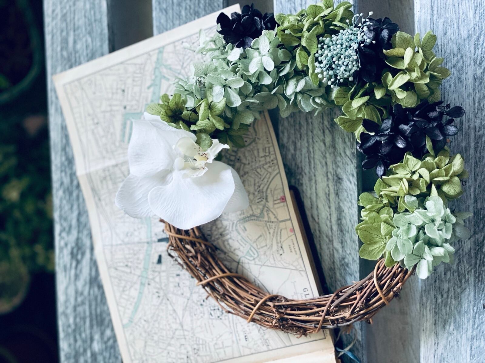 胡蝶蘭と紫陽花の リース snow(スノー） サマーリース | 京都宇治市