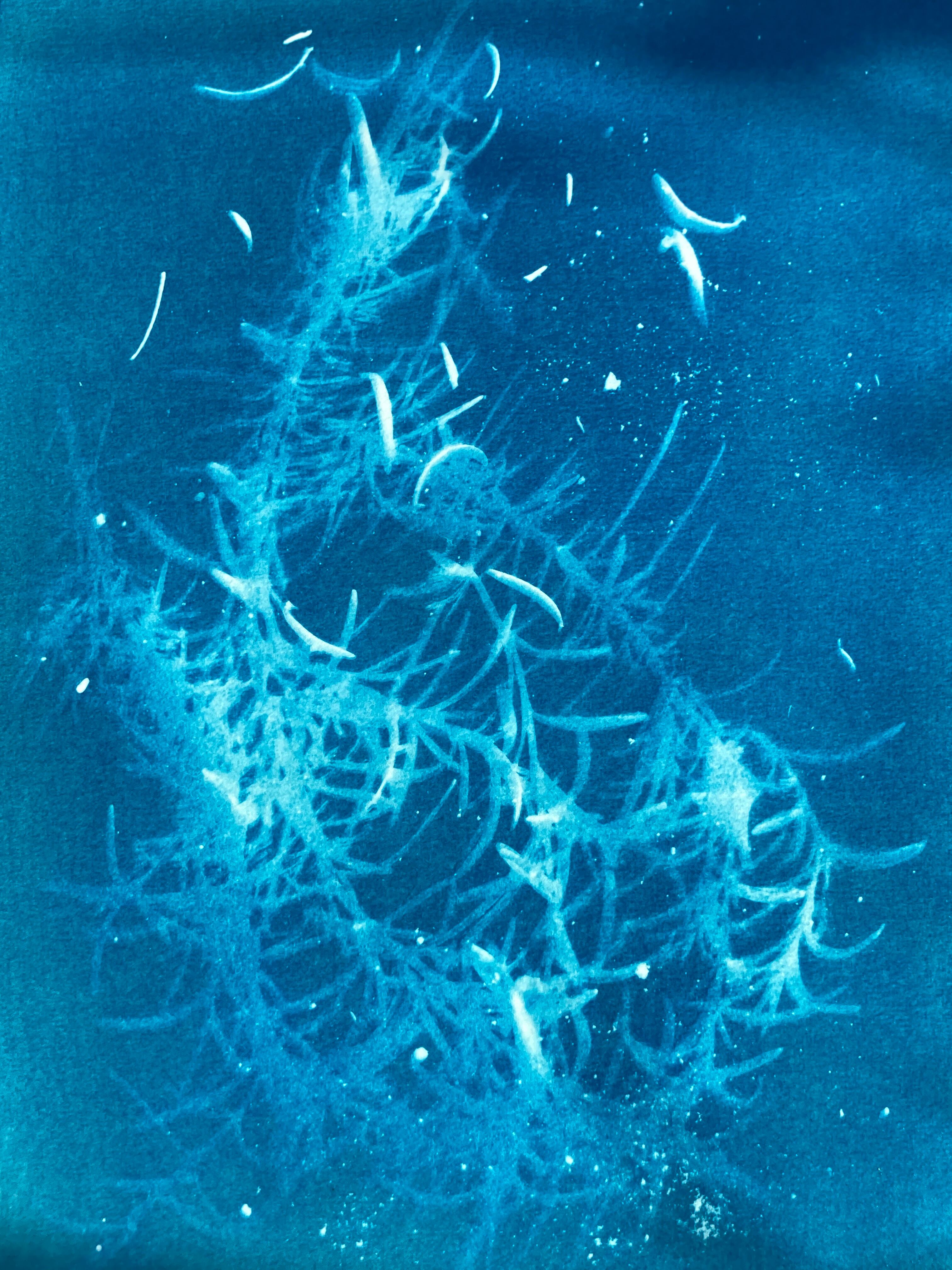 A3サイズ感光紙（サイアノタイプ・日光写真用／厚口水彩画紙使用