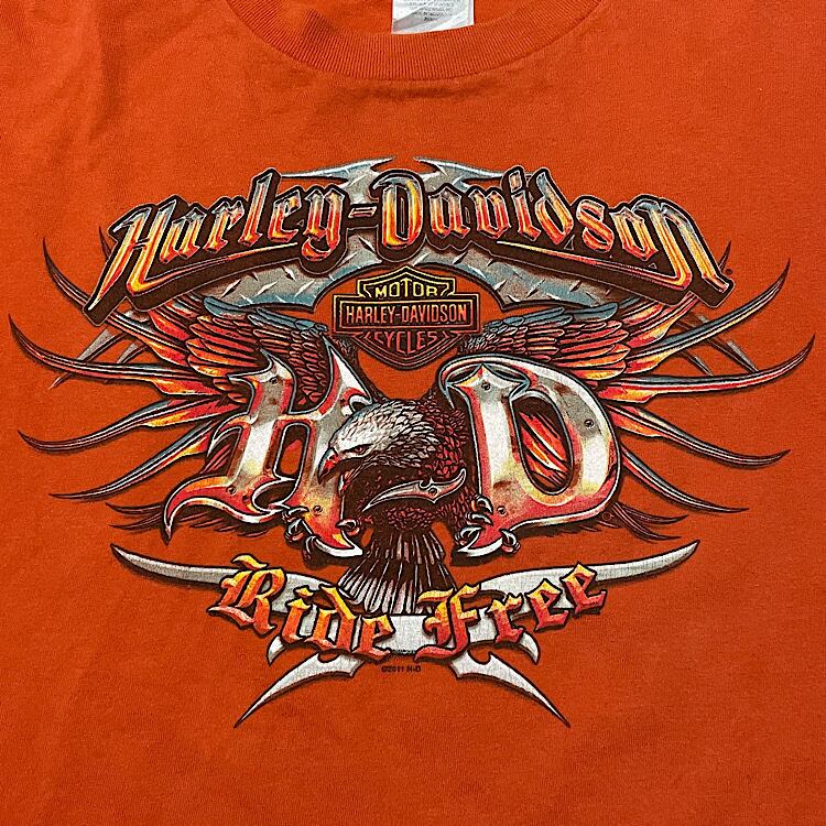 10s ビンテージ ハーレーダビッドソン ロンT Tシャツ USA製 2011年製 