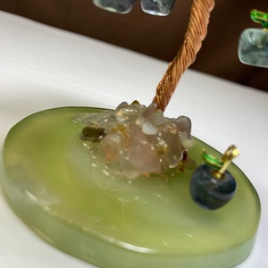 3.青いりんごがなる招財樹・ペリドット