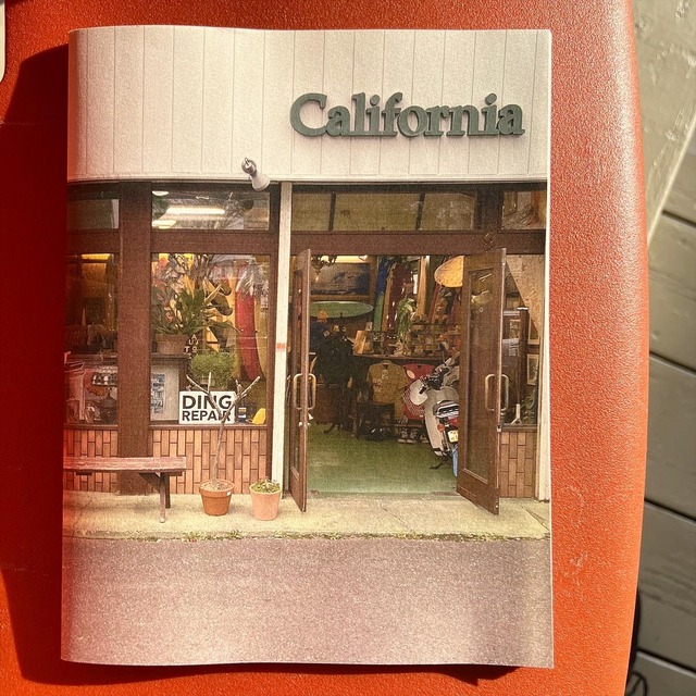 CALIFORNIA GENERAL ZINE