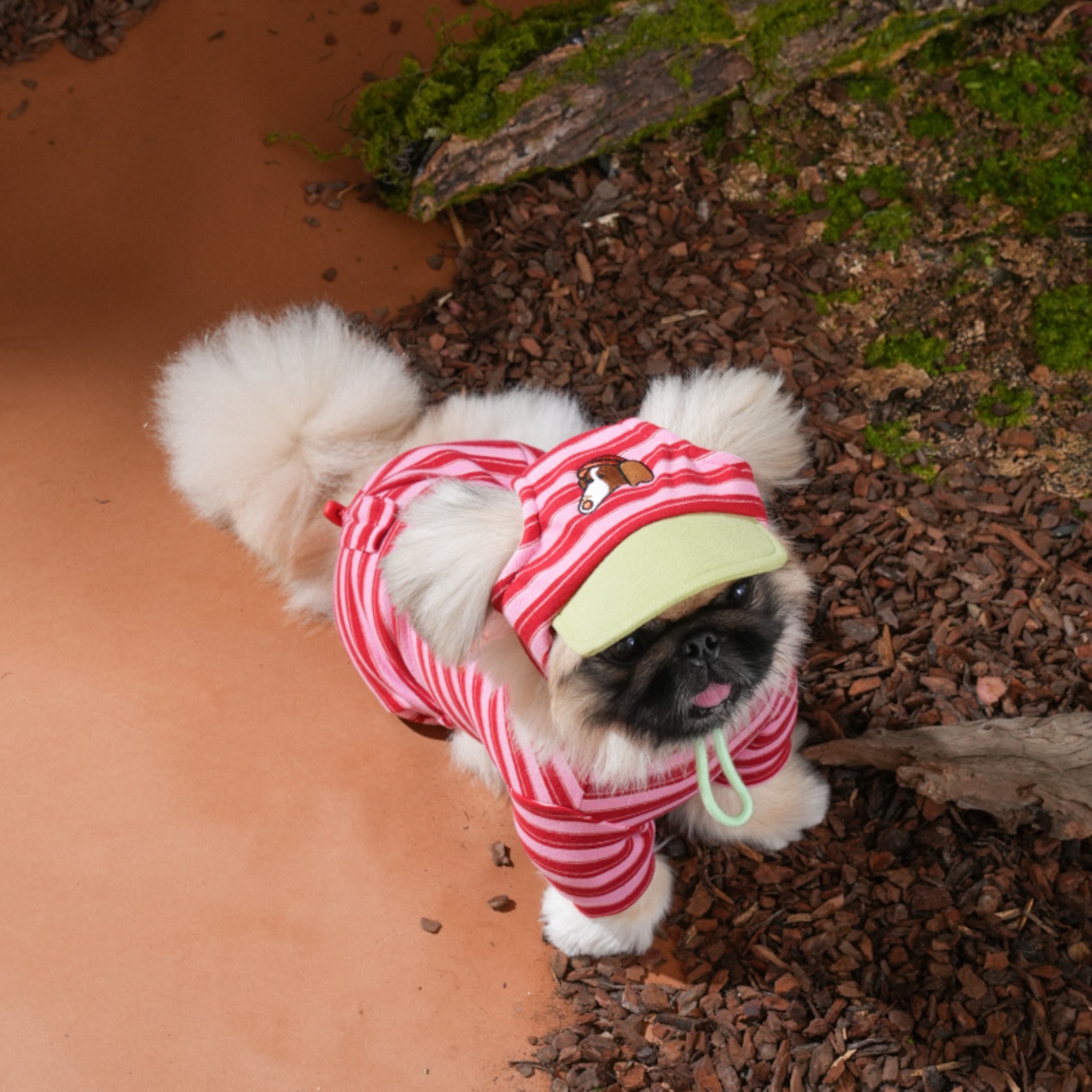 〈PUPPYGALLERY公式〉ホームグラウンドストライプオールインワン 5XL-6XL