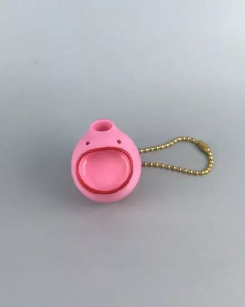 ホヤの赤ちゃん