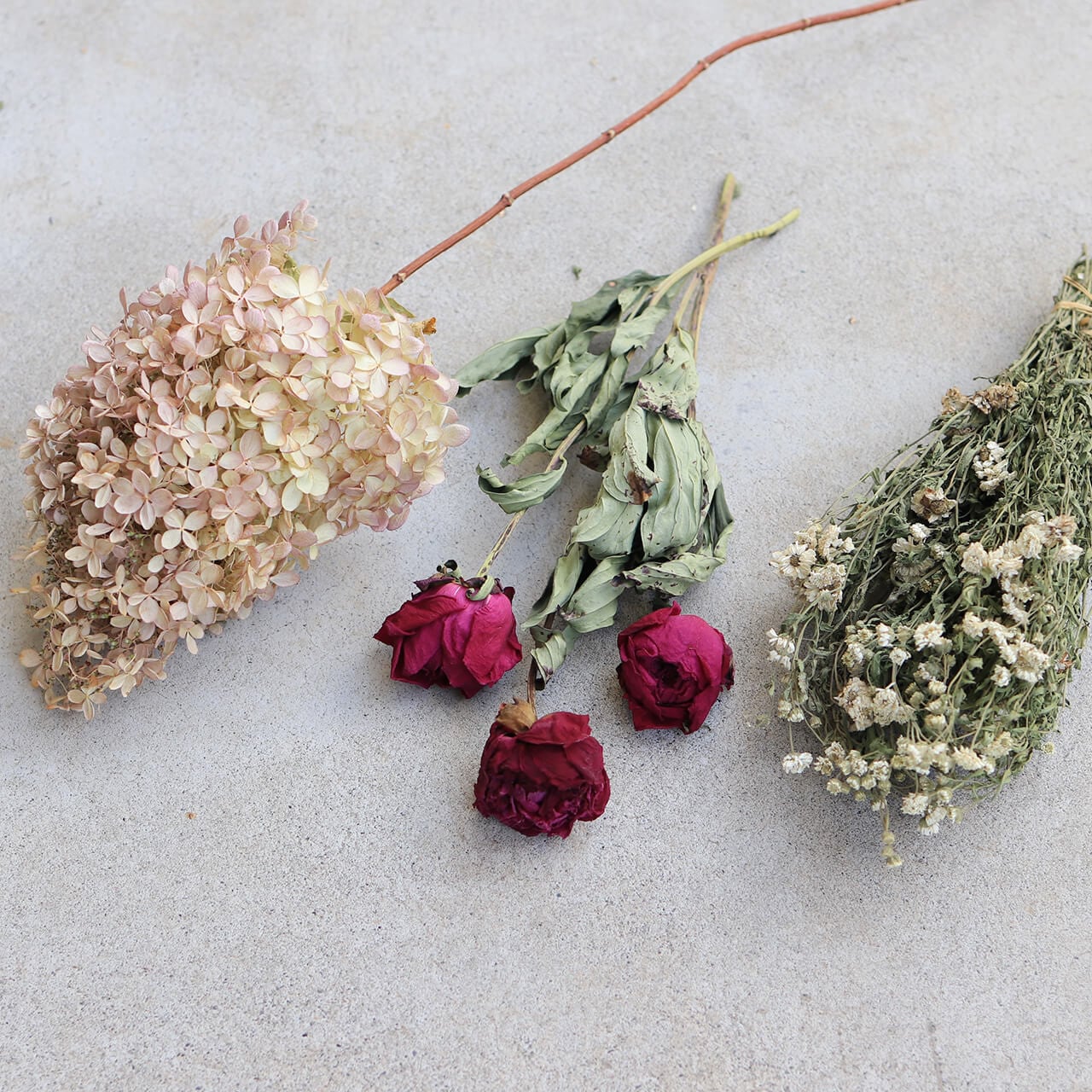 ドライフラワー 】シャクヤク 【 八重咲 大輪 】 ディープパープル