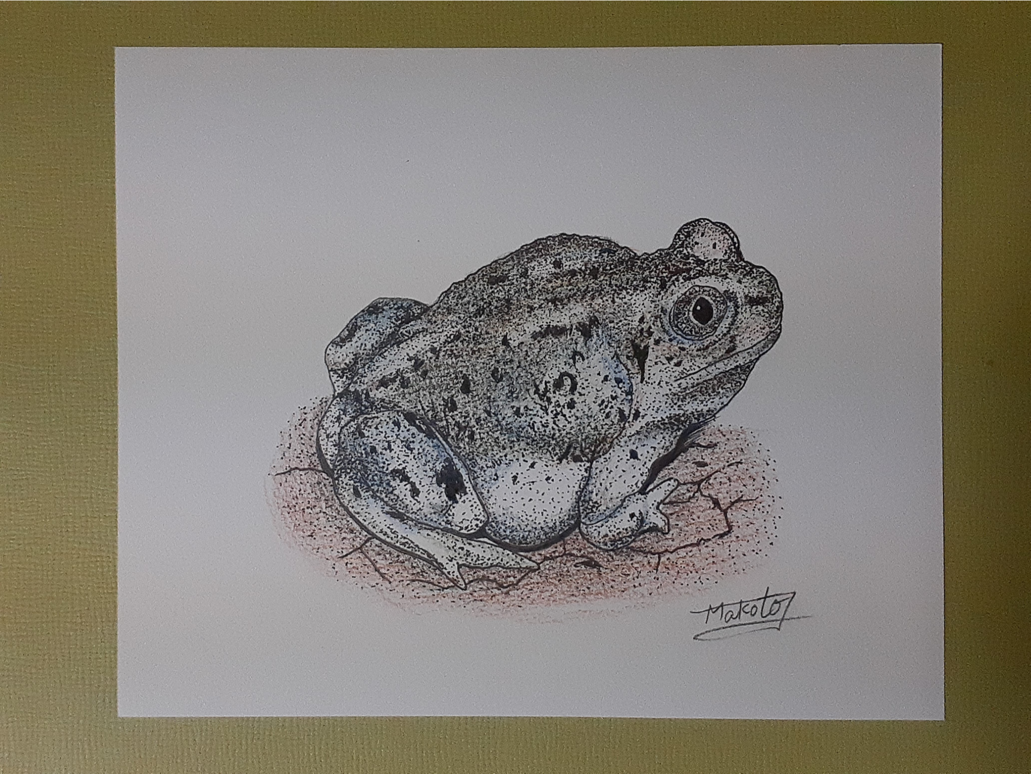 点描画アート カエル | 工房 和み