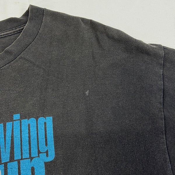 96年製 HI-STANDARD Growing up US-Tour Tee L | Used&Vintage リアクロ