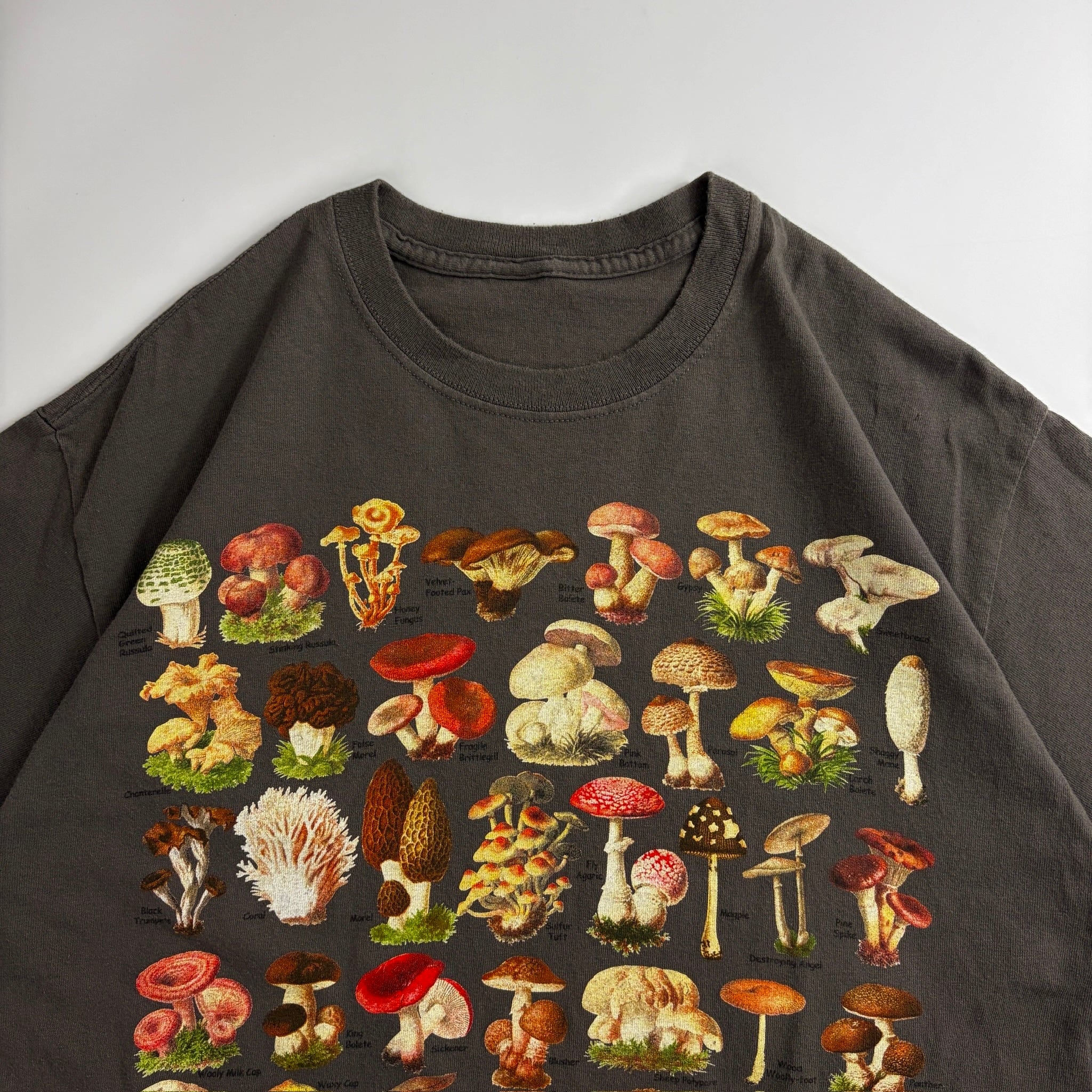 Ultimate Mushroom Guide Graphic T-Shirt