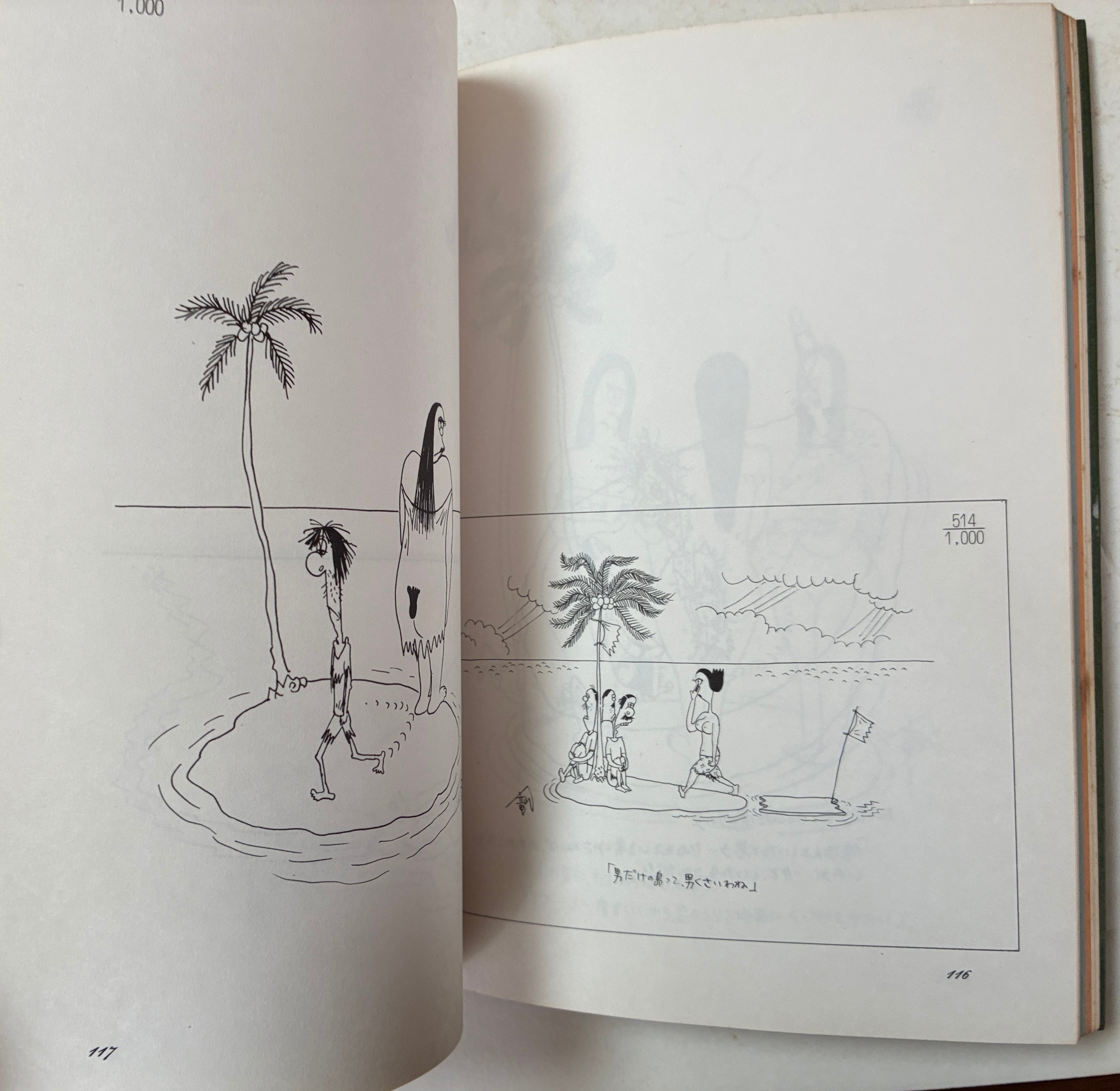 秋竜山のロビンソンクルーソー 1978年 初版 大陸書房 | トムズボックス