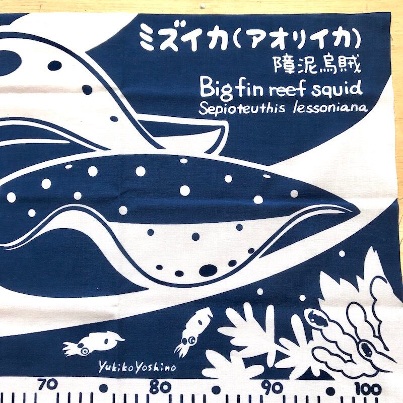 ミズイカ手ぬぐい サステナブルショップ ミット