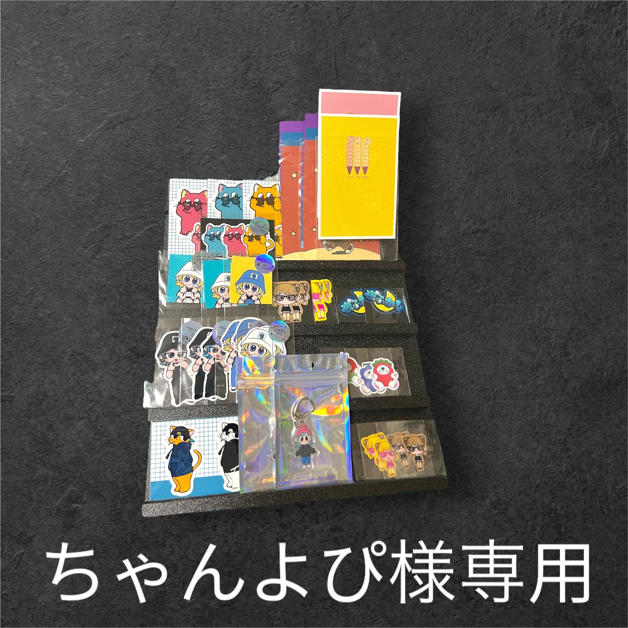 VVV様専用 （VVV様専用]MOUNTAIN RESEARCH PROTESTER）