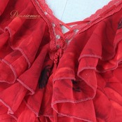 社交ダンス 衣装 スタンダード トップス レッスンウェア Create-Sun クリエイトサン 赤 レッド系 レース フリル 花柄 薔薇 バラ 長袖 鮮やか 存在感 トレーニング ウエア ダンス フェスティバル パフォーマンス セクシー レディス 女性用 フォーマル おしゃれ 軽やか 通気性 ダンスウェア 社交ダンス用