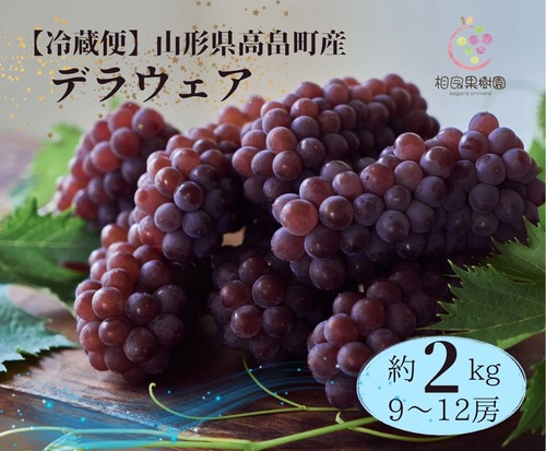 【冷蔵便】山形県高畠町産デラウェア　約2キロ