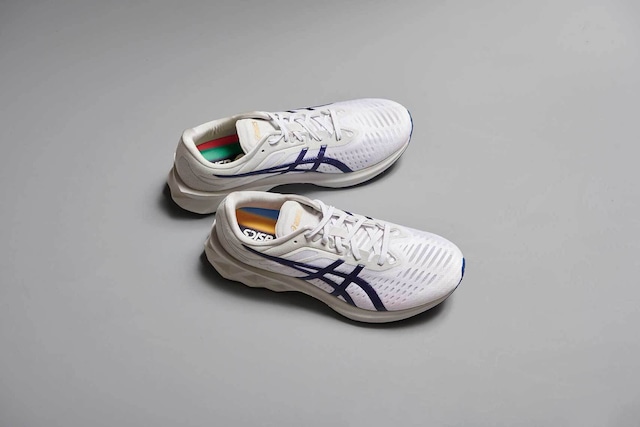 asics NOVABLAST | WHT/NVY