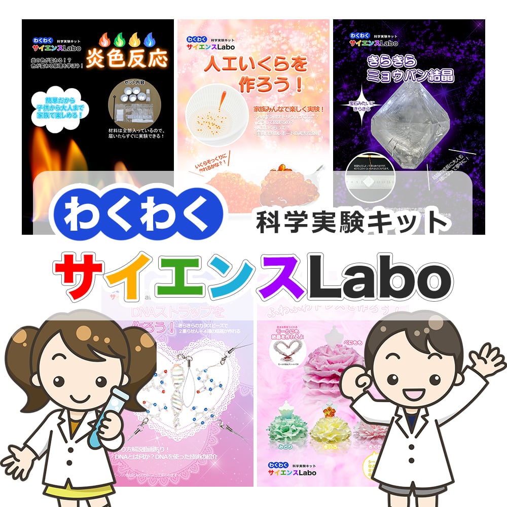 わくわくサイエンスLabo vol.04 DNAストラップ | neoshop