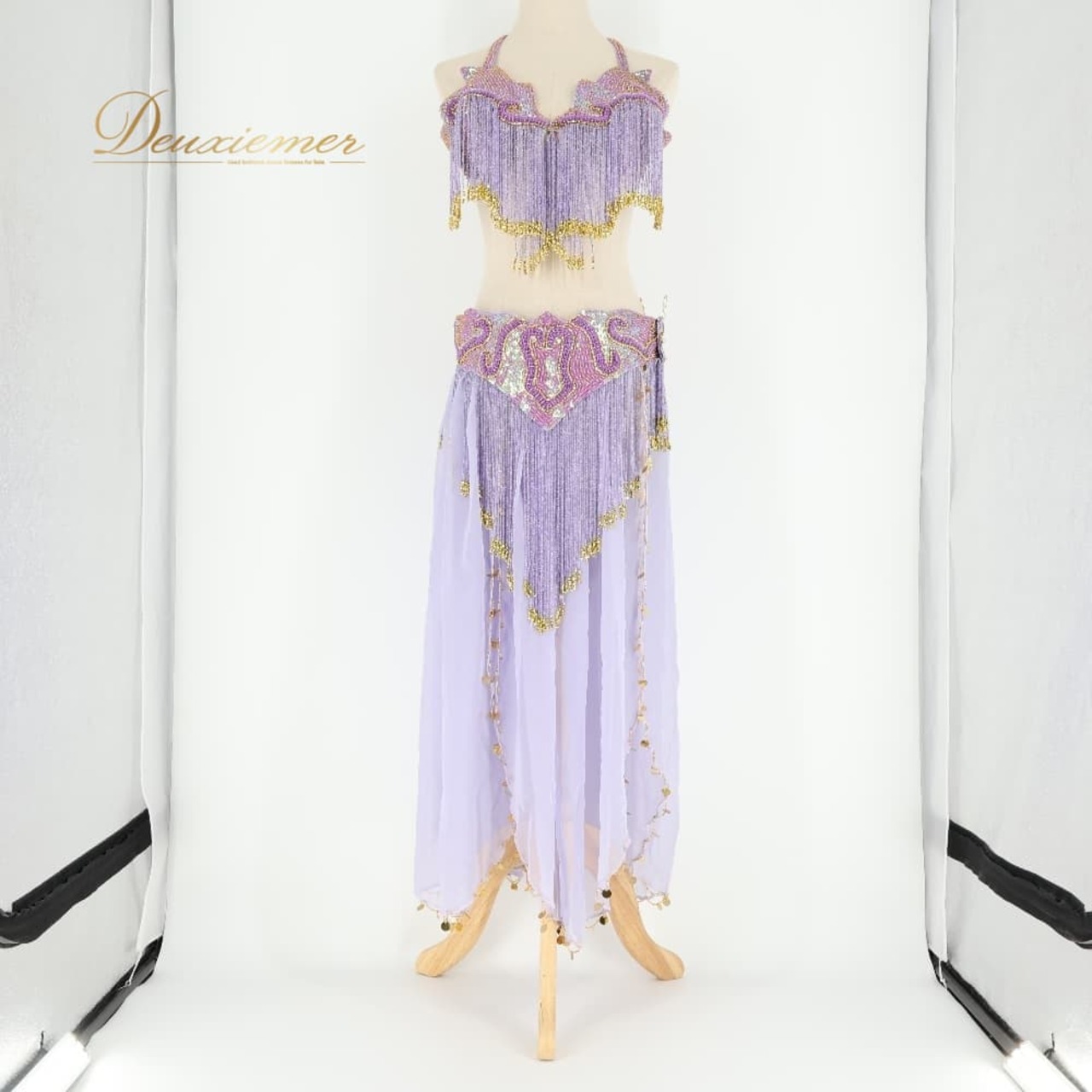ベリーダンス オリエンタル 衣装 上下セット パープル系 トップス スカート ベルト チョーカー ベール アーム 紫 金 フリンジ 淡い 装飾 豪華 アーム飾り 腕飾り かわいい スリット 華やか ダンス衣装 イベント ステージ