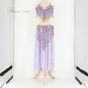 ベリーダンス オリエンタル 衣装 上下セット パープル系 トップス スカート ベルト チョーカー ベール アーム 紫 金 フリンジ 淡い 装飾 豪華 アーム飾り 腕飾り かわいい スリット 華やか ダンス衣装 イベント ステージ