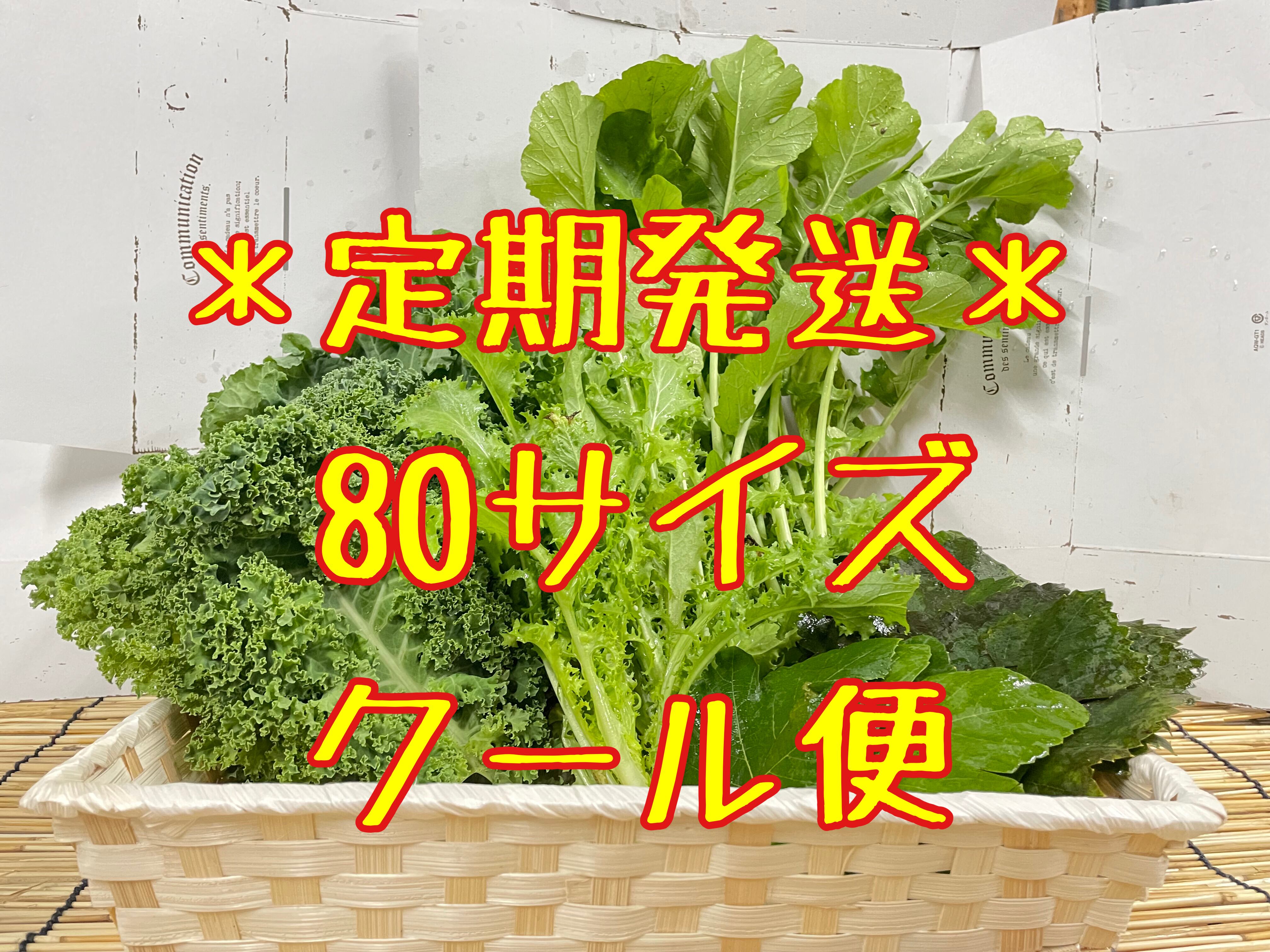 クール便 80サイズ 【季節の葉っぱ詰め合わせ】 | 京都葉っぱ屋(仮)