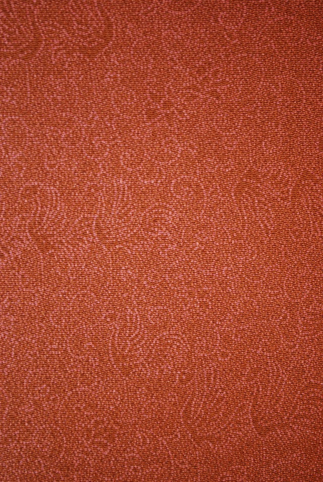 【袷】人間国宝・中村勇二郎　鳳凰と唐草文様　江戸小紋　一つ紋入り