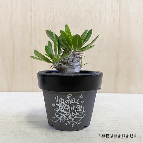 リメイク鉢】植祭限定デザイン3号グレー素焼き鉢 | naco:Re!antique